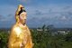 Thailand: Smaller Kuan Yin statues next to the large Kuan Yin statue overlooking the town above Wat Matchimaphum, Trang Town, Trang Province, southern Thailand